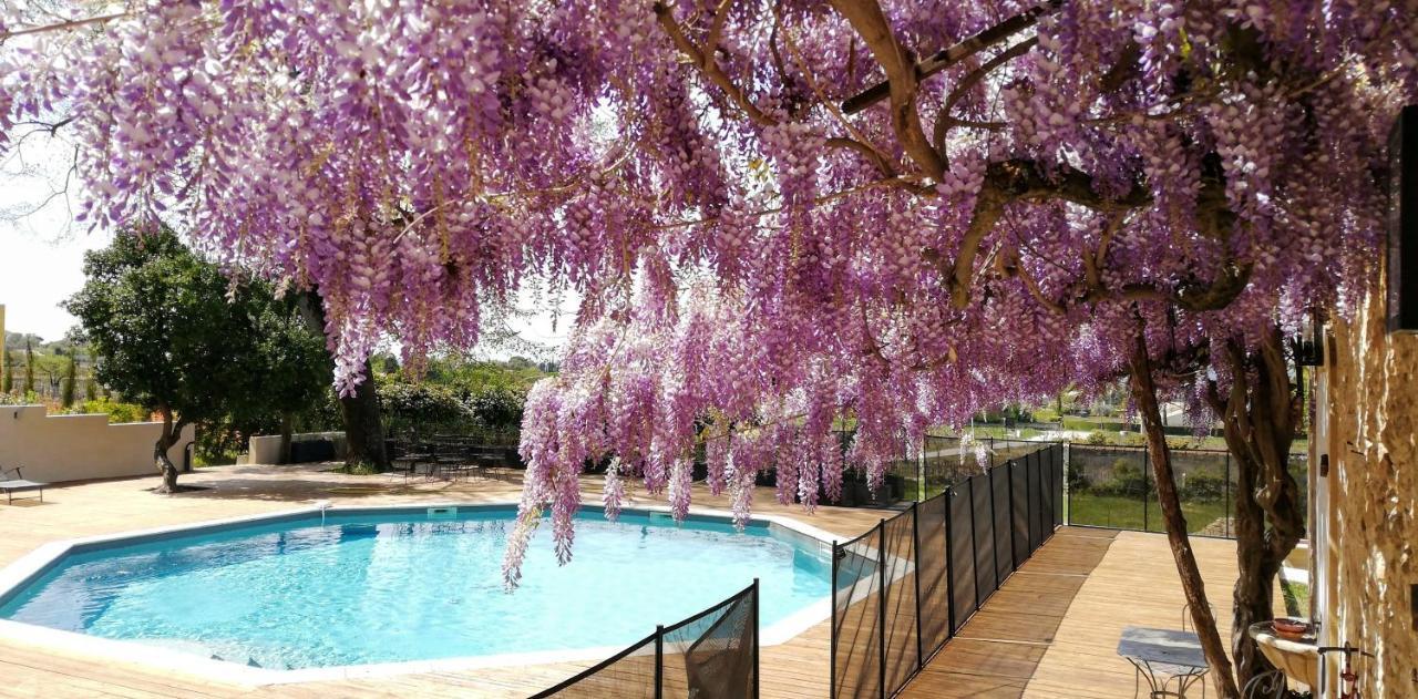 Chateau Montplaisir Charming B&B In Provence Valréas 외부 사진